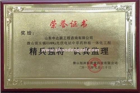 微山劉莊鎮(zhèn)光伏項目榮獲“精兵強將 認(rèn)真監(jiān)理”獎牌